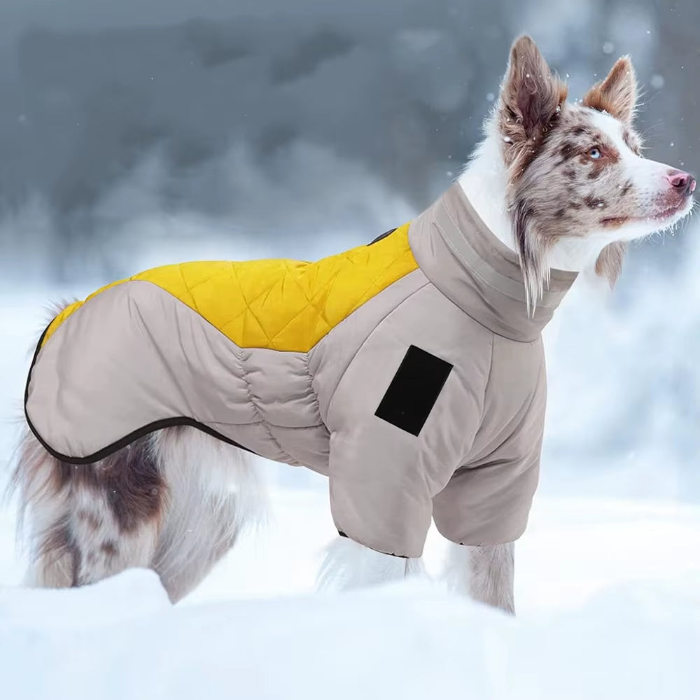 Large waterproof Dog Jumpsuit.