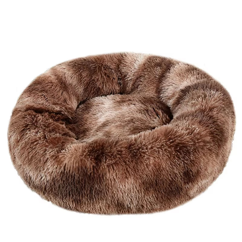 Comfy dog bed.