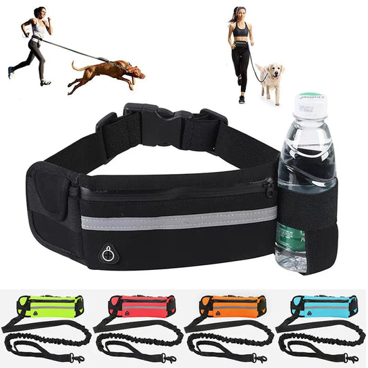 Hands free dog leash equipped with storage.