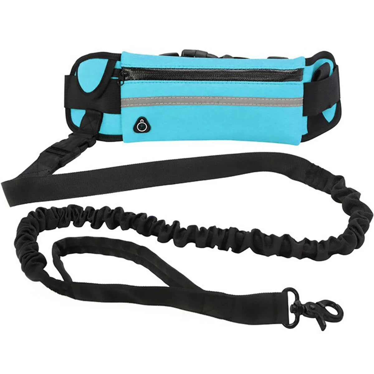 Hands free dog leash equipped with storage.