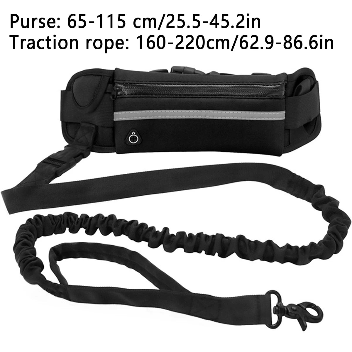 Hands free dog leash equipped with storage.