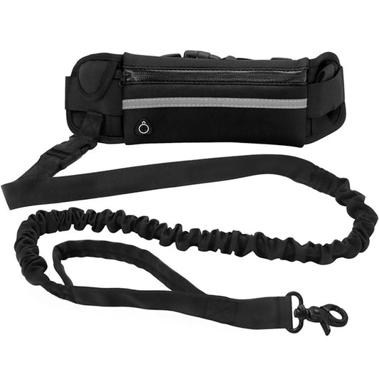 Hands free dog leash equipped with storage.