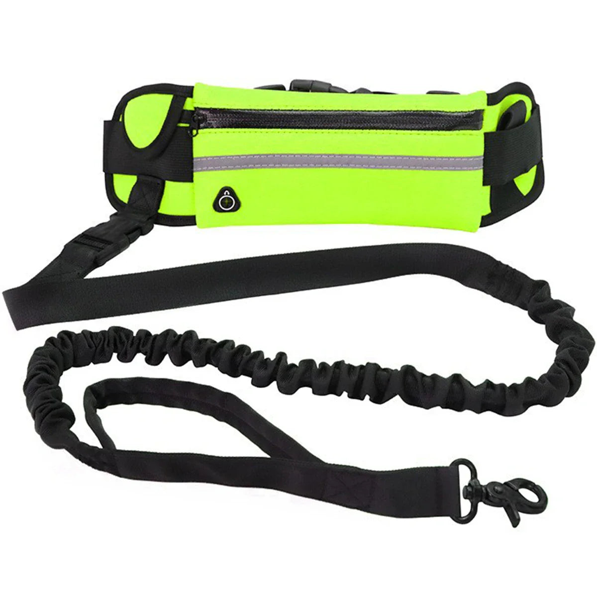 Hands free dog leash equipped with storage.