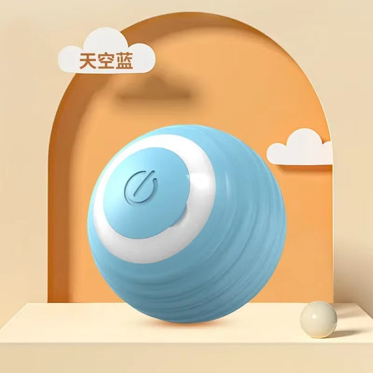 Smart Pet ball toy.  