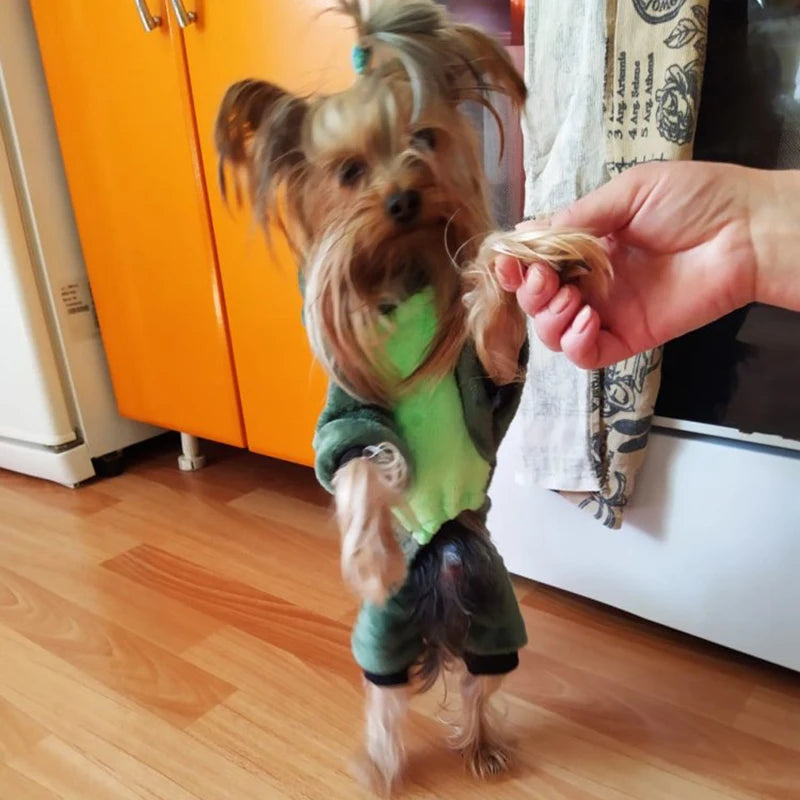 Cartoon Animal Dog, Cat Costume for Small animals.